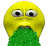 vomit